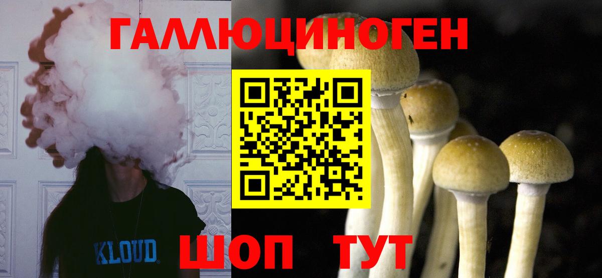 Псилоцибиновые грибы MAGIC MUSHROOMS  Вход с VPN  Ступино 